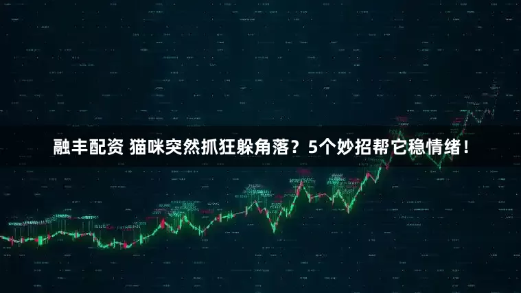 融丰配资 猫咪突然抓狂躲角落？5个妙招帮它稳情绪！